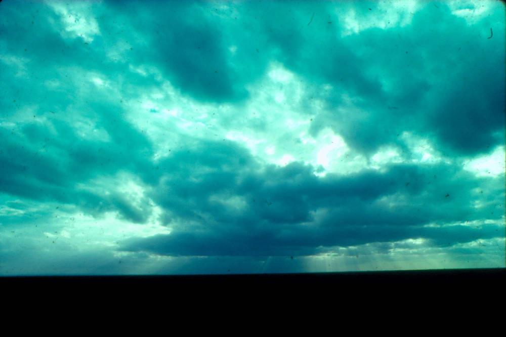 원화랑 전시 및 정찬승 외 지인과 함께 촬영한 슬라이드 필름