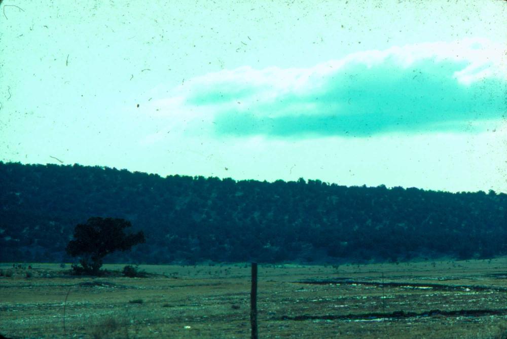 원화랑 전시 및 정찬승 외 지인과 함께 촬영한 슬라이드 필름