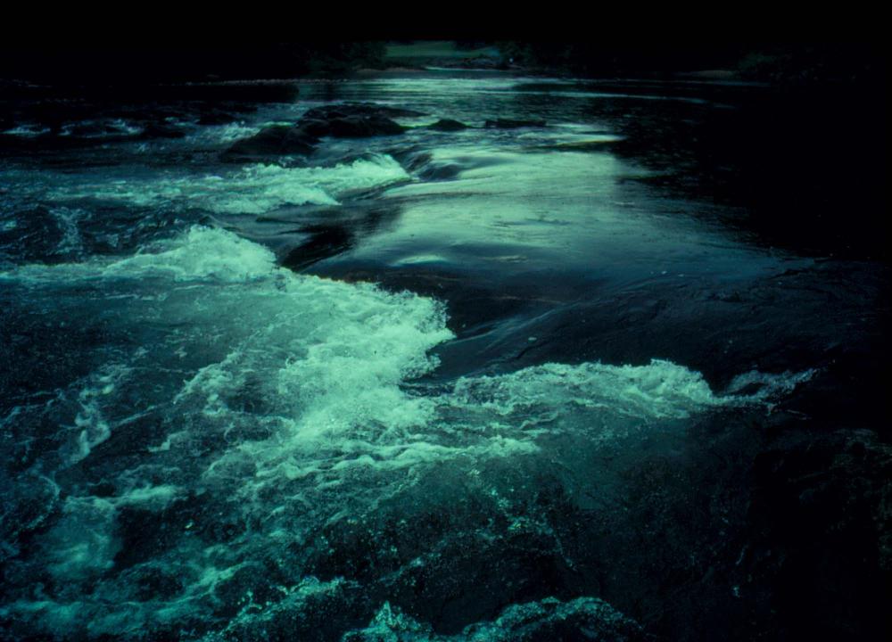 원화랑 전시 및 정찬승 외 지인과 함께 촬영한 슬라이드 필름