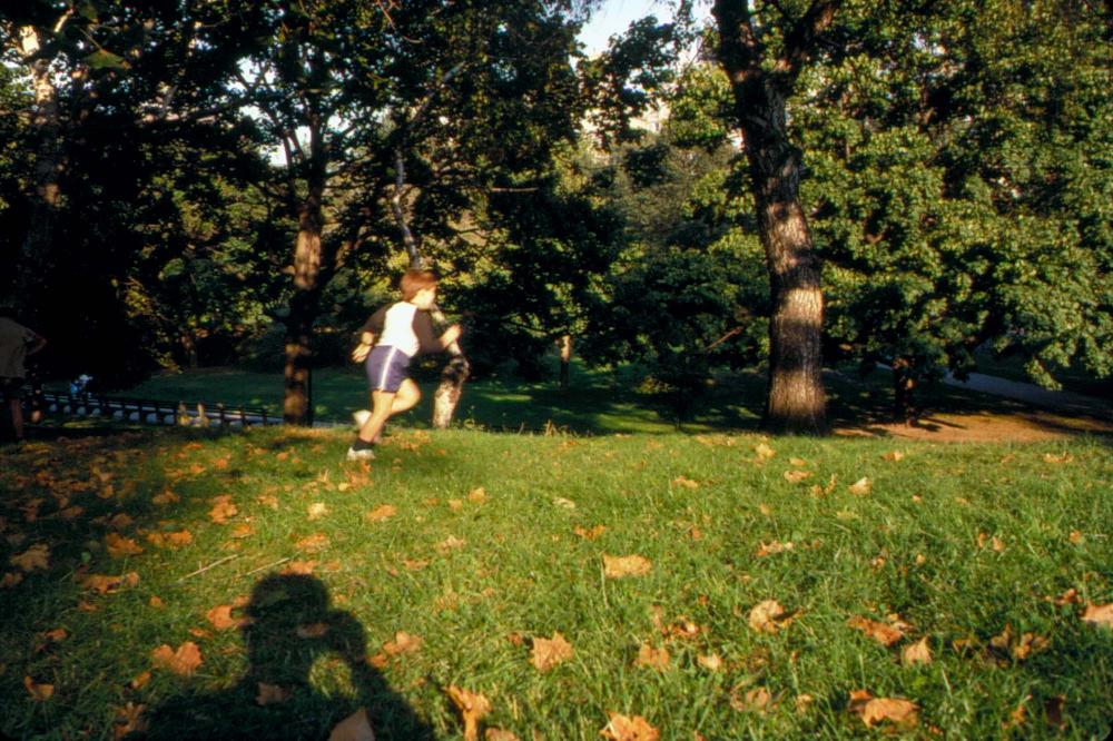 원화랑 전시 및 정찬승 외 지인과 함께 촬영한 슬라이드 필름