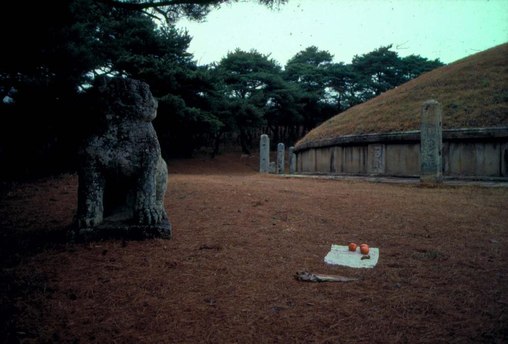 원화랑 전시 및 정찬승 외 지인과 함께 촬영한 슬라이드 필름