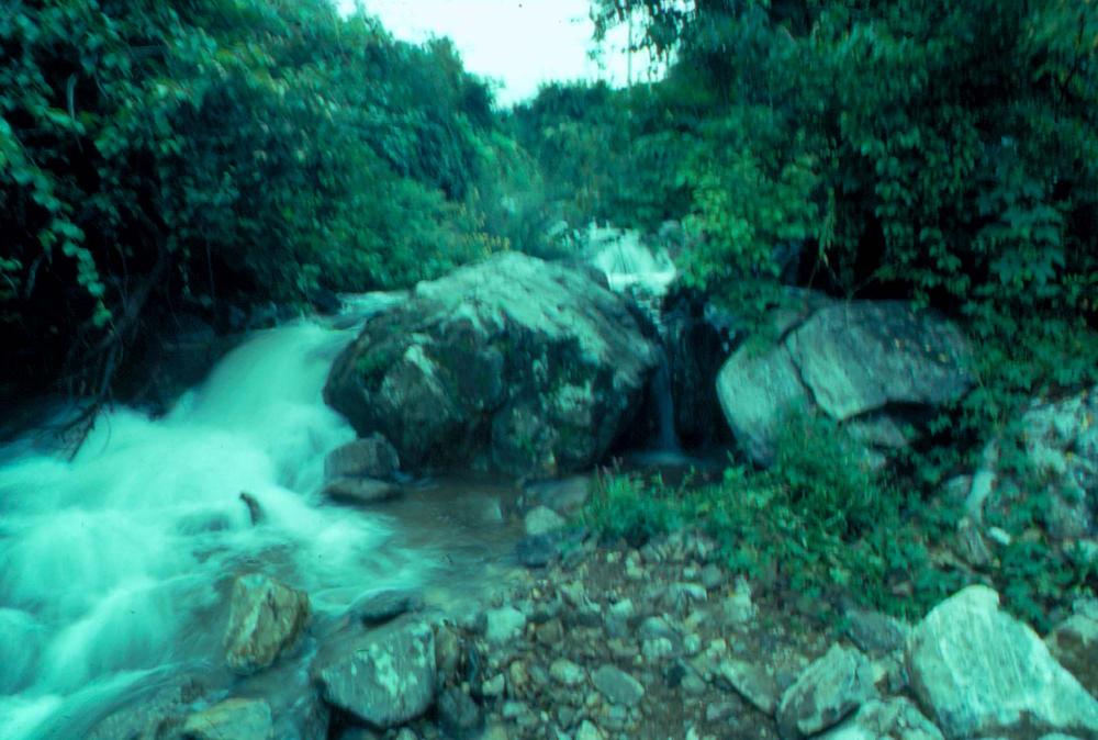 원화랑 전시 및 정찬승 외 지인과 함께 촬영한 슬라이드 필름