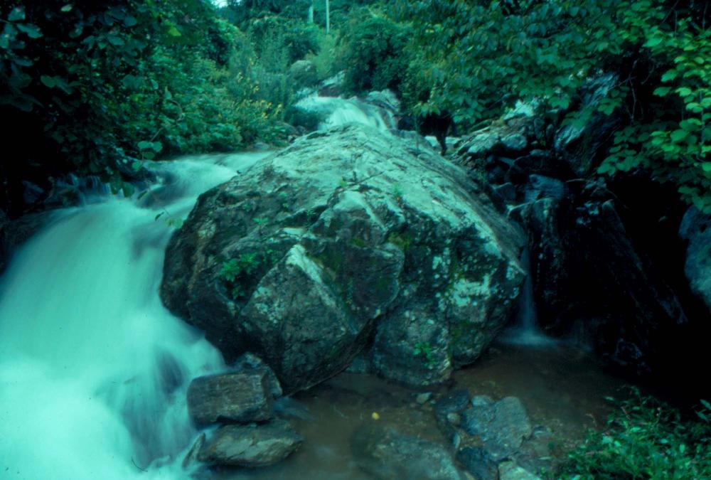 원화랑 전시 및 정찬승 외 지인과 함께 촬영한 슬라이드 필름