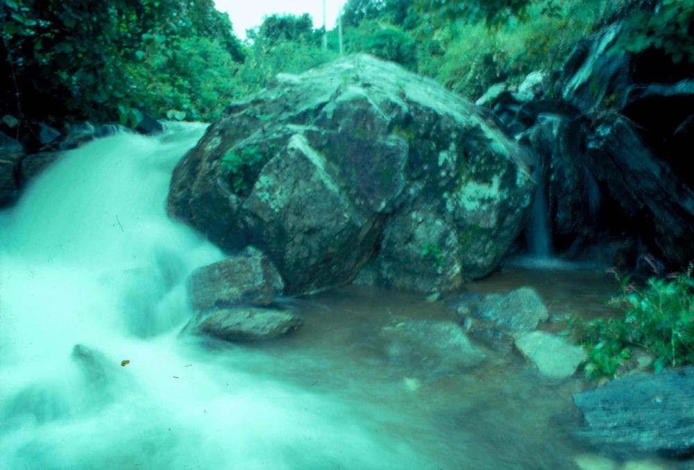 원화랑 전시 및 정찬승 외 지인과 함께 촬영한 슬라이드 필름