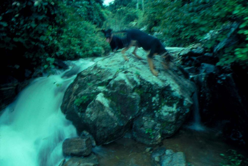 원화랑 전시 및 정찬승 외 지인과 함께 촬영한 슬라이드 필름