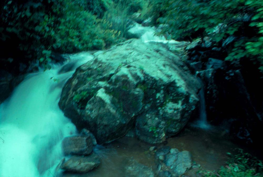 원화랑 전시 및 정찬승 외 지인과 함께 촬영한 슬라이드 필름