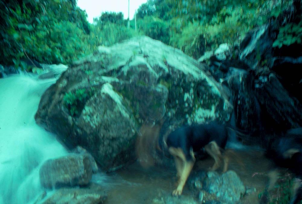 원화랑 전시 및 정찬승 외 지인과 함께 촬영한 슬라이드 필름