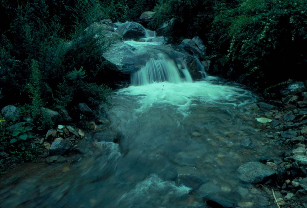 원화랑 전시 및 정찬승 외 지인과 함께 촬영한 슬라이드 필름