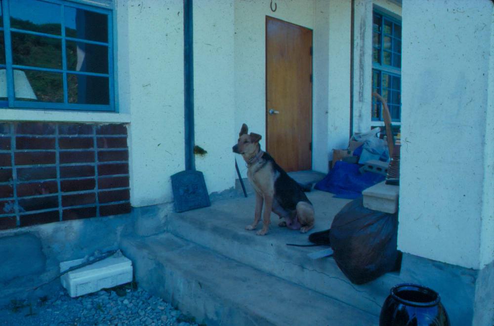 원화랑 전시 및 정찬승 외 지인과 함께 촬영한 슬라이드 필름