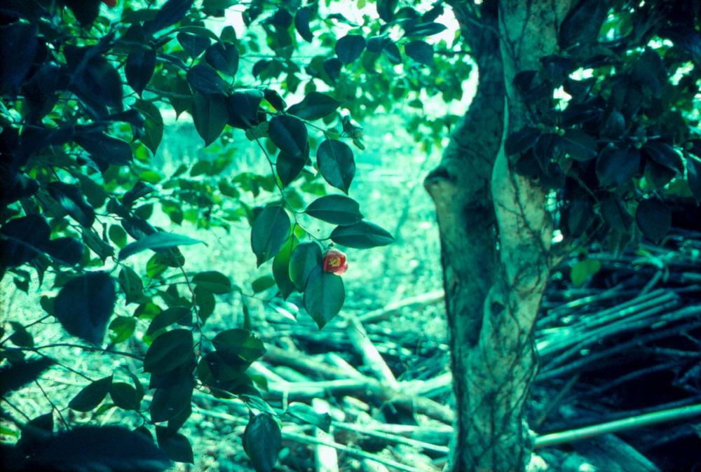 원화랑 전시 및 정찬승 외 지인과 함께 촬영한 슬라이드 필름