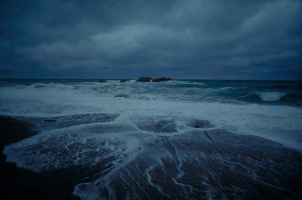 원화랑 전시 및 정찬승 외 지인과 함께 촬영한 슬라이드 필름