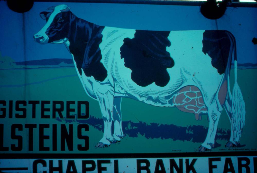 원화랑 전시 및 정찬승 외 지인과 함께 촬영한 슬라이드 필름