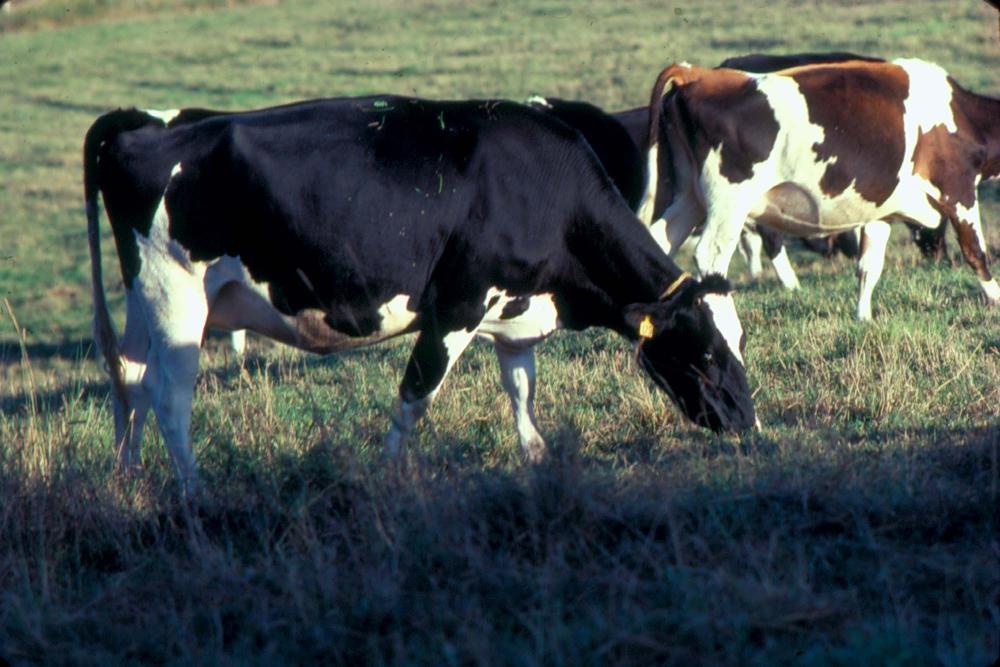 원화랑 전시 및 정찬승 외 지인과 함께 촬영한 슬라이드 필름