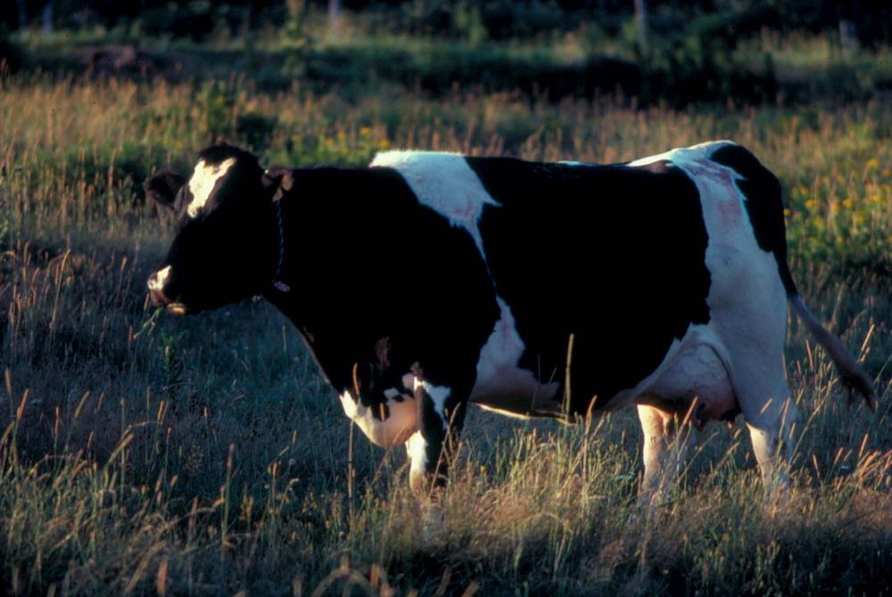 원화랑 전시 및 정찬승 외 지인과 함께 촬영한 슬라이드 필름