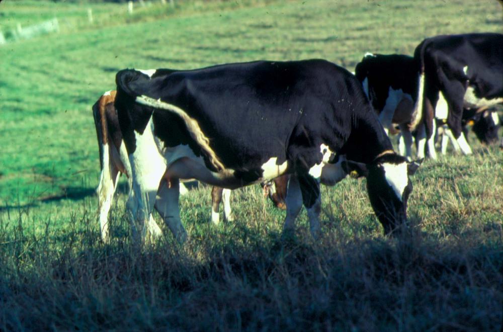 원화랑 전시 및 정찬승 외 지인과 함께 촬영한 슬라이드 필름