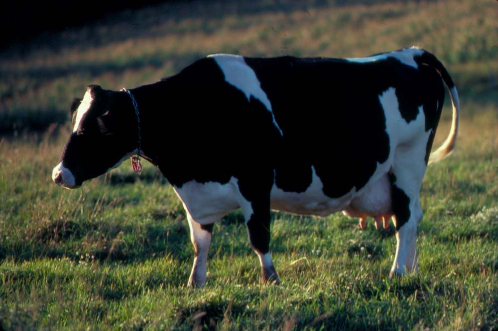 원화랑 전시 및 정찬승 외 지인과 함께 촬영한 슬라이드 필름