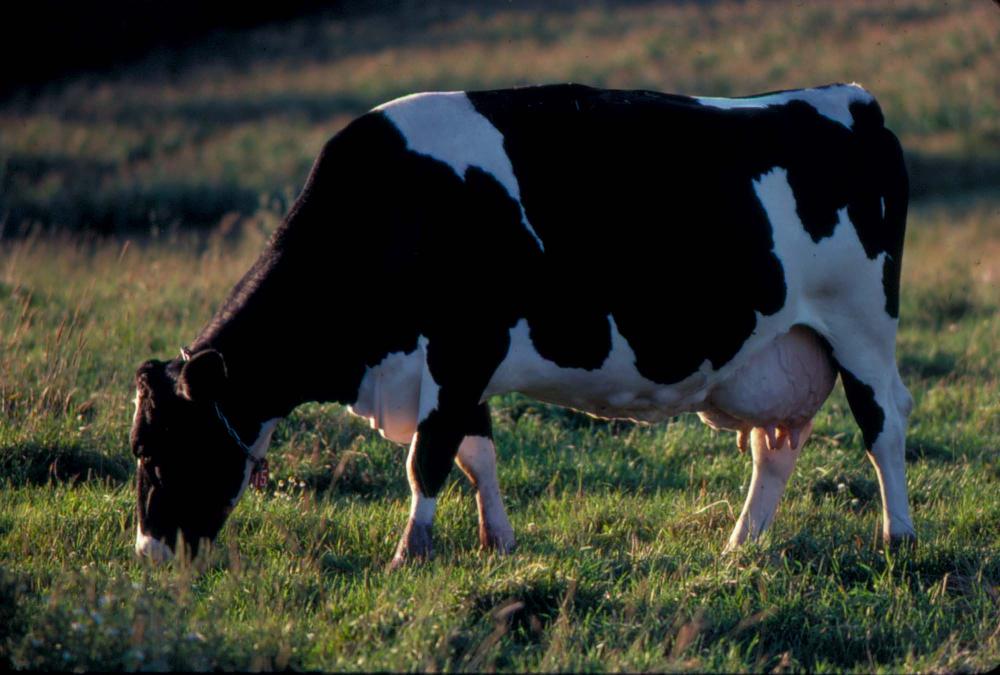 원화랑 전시 및 정찬승 외 지인과 함께 촬영한 슬라이드 필름
