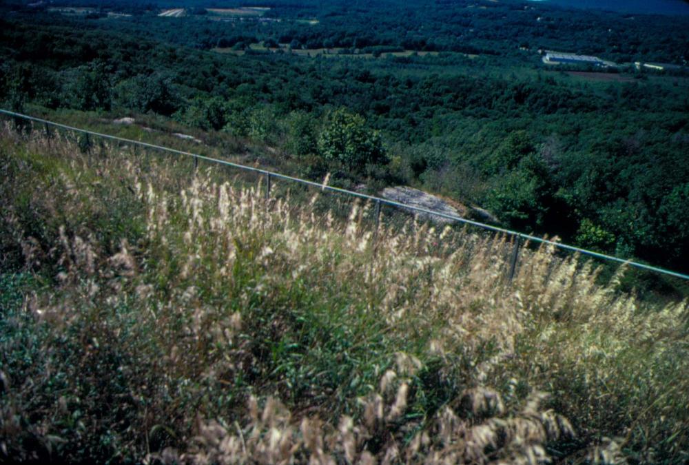 원화랑 전시 및 정찬승 외 지인과 함께 촬영한 슬라이드 필름