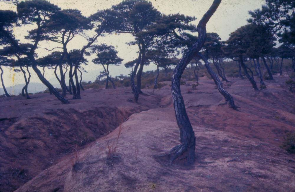 원화랑 전시 및 정찬승 외 지인과 함께 촬영한 슬라이드 필름