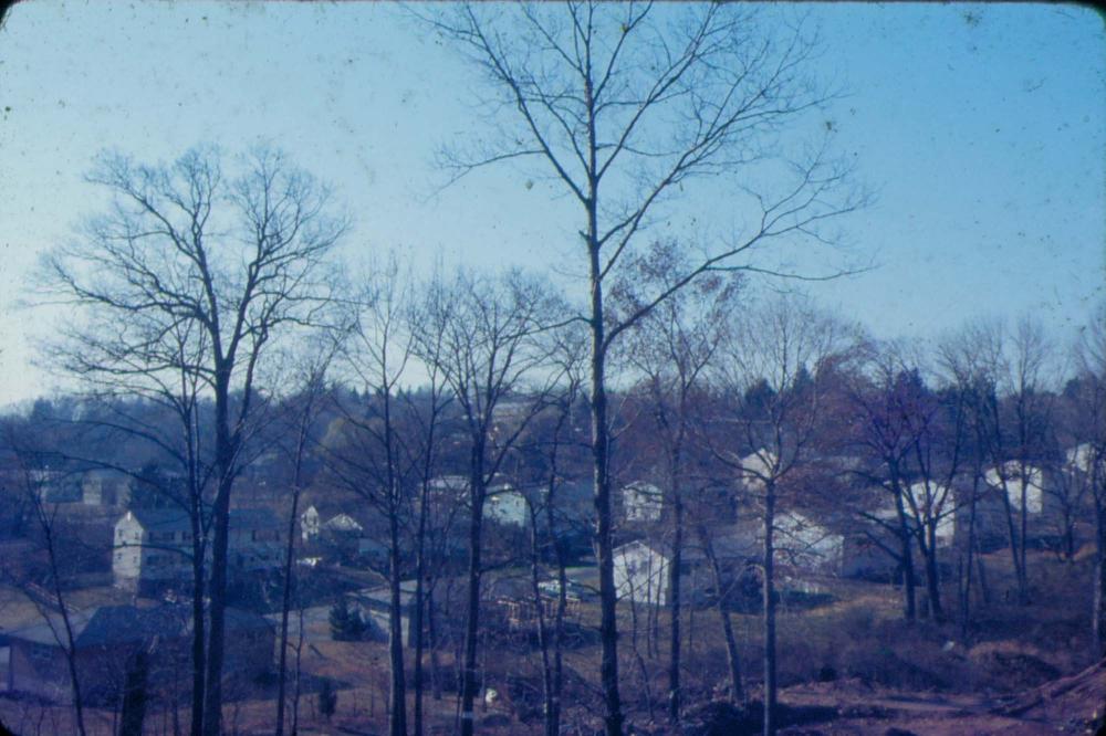 원화랑 전시 및 정찬승 외 지인과 함께 촬영한 슬라이드 필름