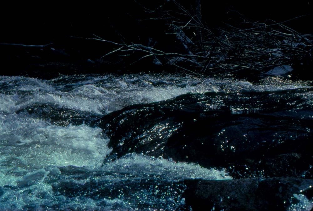 원화랑 전시 및 정찬승 외 지인과 함께 촬영한 슬라이드 필름