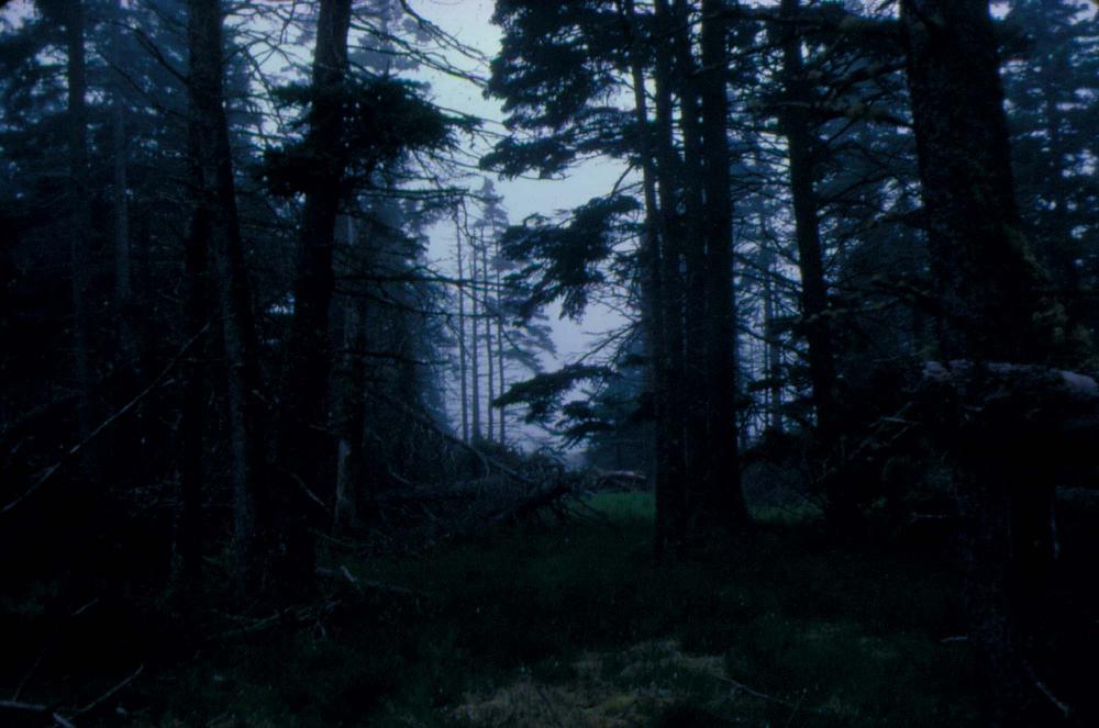 원화랑 전시 및 정찬승 외 지인과 함께 촬영한 슬라이드 필름