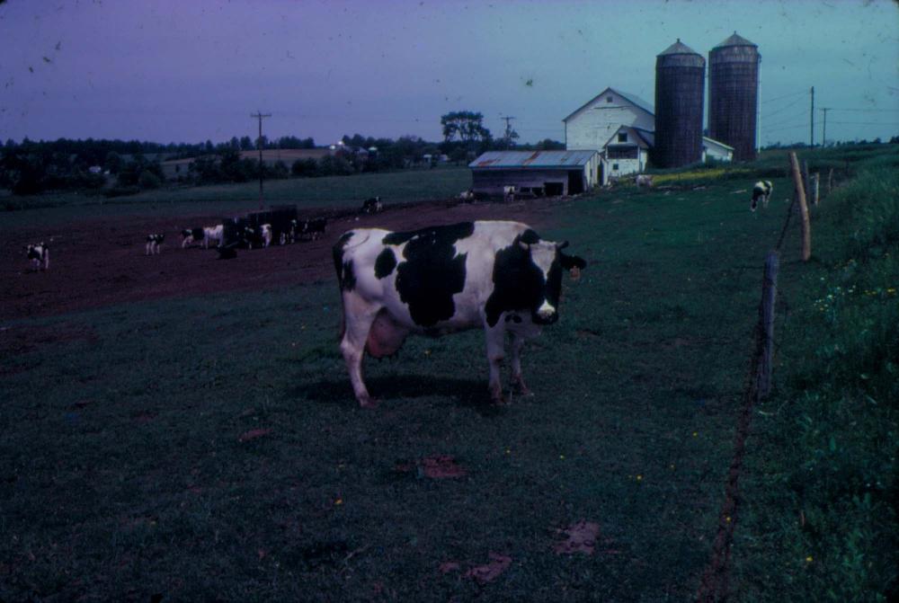 원화랑 전시 및 정찬승 외 지인과 함께 촬영한 슬라이드 필름
