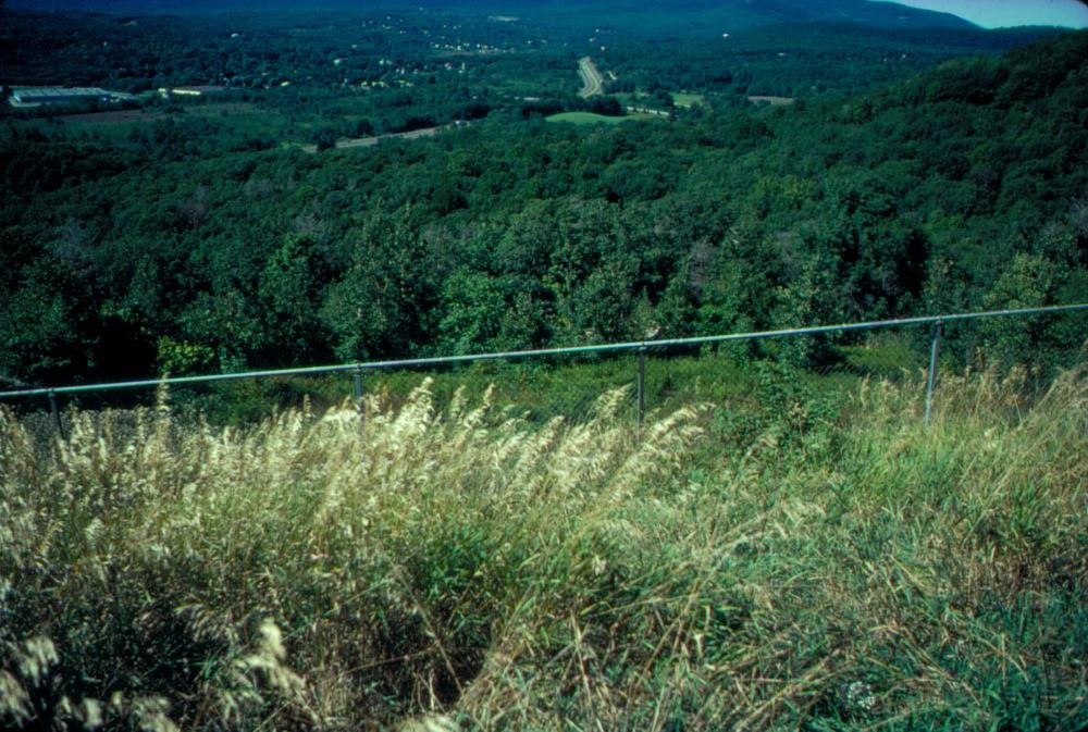 원화랑 전시 및 정찬승 외 지인과 함께 촬영한 슬라이드 필름