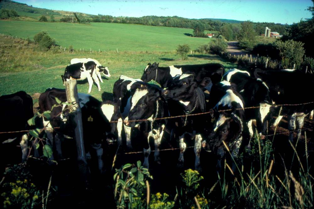 원화랑 전시 및 정찬승 외 지인과 함께 촬영한 슬라이드 필름