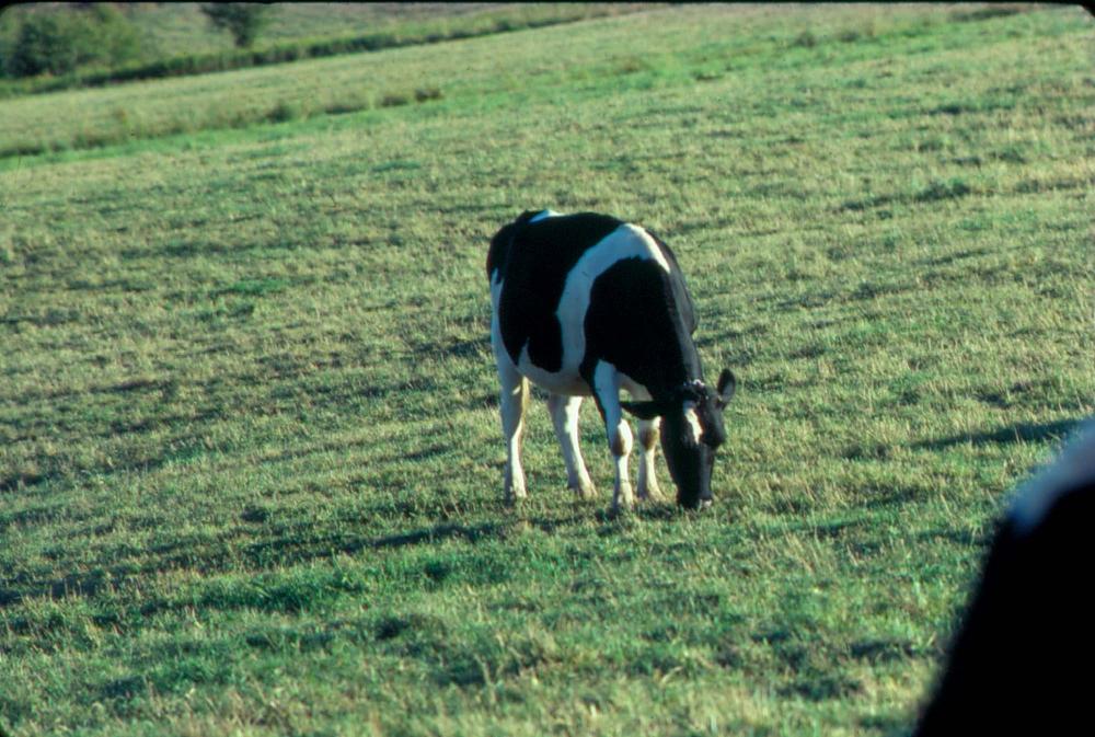 원화랑 전시 및 정찬승 외 지인과 함께 촬영한 슬라이드 필름