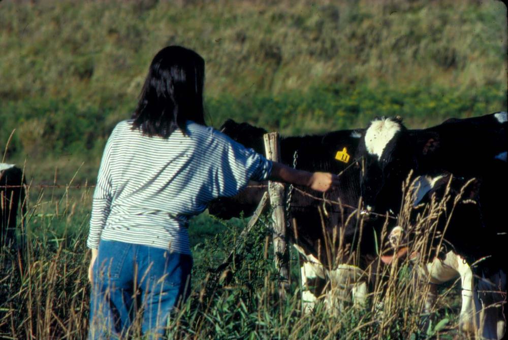 원화랑 전시 및 정찬승 외 지인과 함께 촬영한 슬라이드 필름
