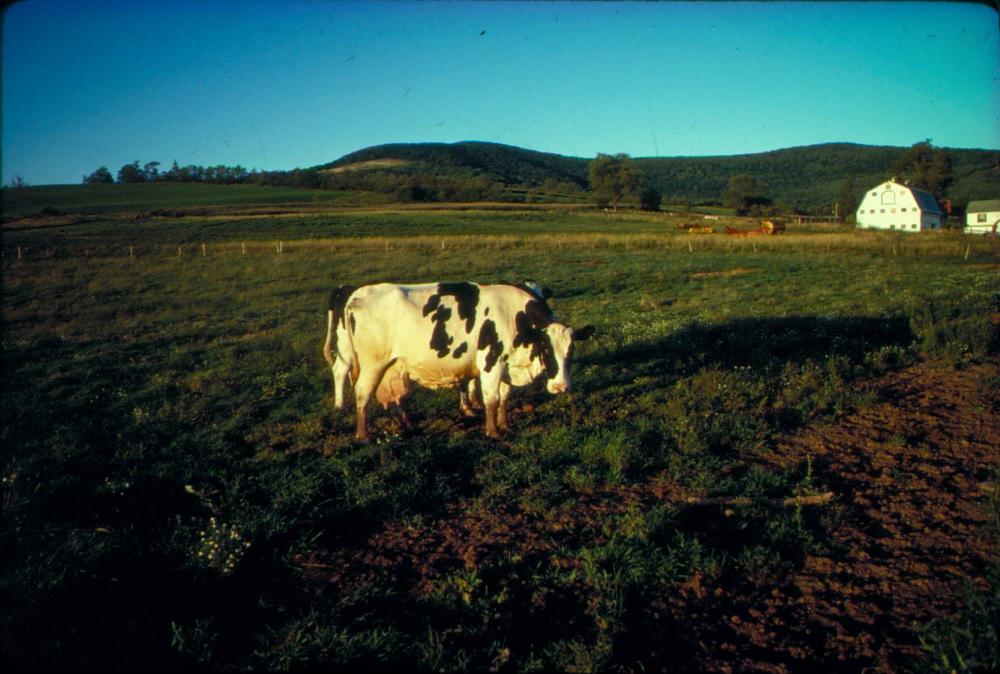 원화랑 전시 및 정찬승 외 지인과 함께 촬영한 슬라이드 필름