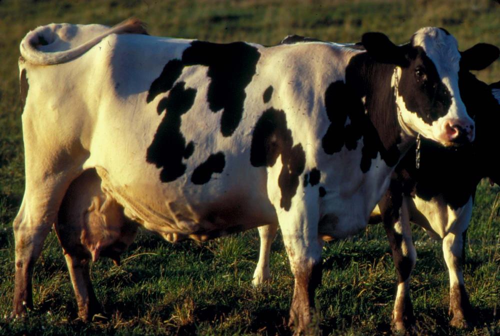 원화랑 전시 및 정찬승 외 지인과 함께 촬영한 슬라이드 필름