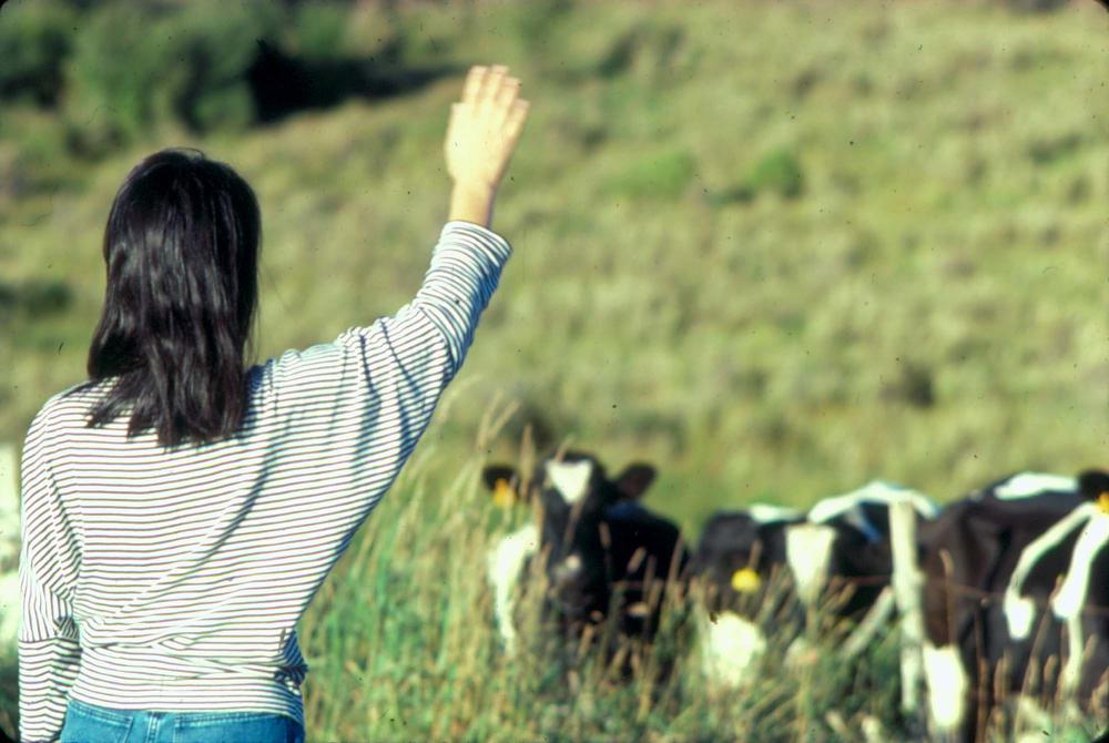 원화랑 전시 및 정찬승 외 지인과 함께 촬영한 슬라이드 필름