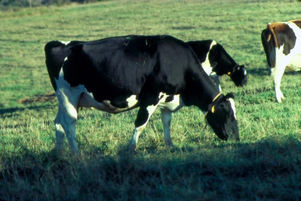 원화랑 전시 및 정찬승 외 지인과 함께 촬영한 슬라이드 필름