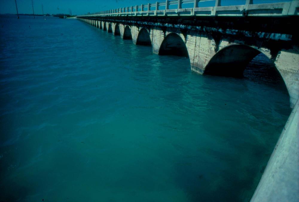 원화랑 전시 및 정찬승 외 지인과 함께 촬영한 슬라이드 필름