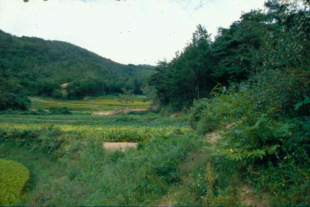원화랑 전시 및 정찬승 외 지인과 함께 촬영한 슬라이드 필름