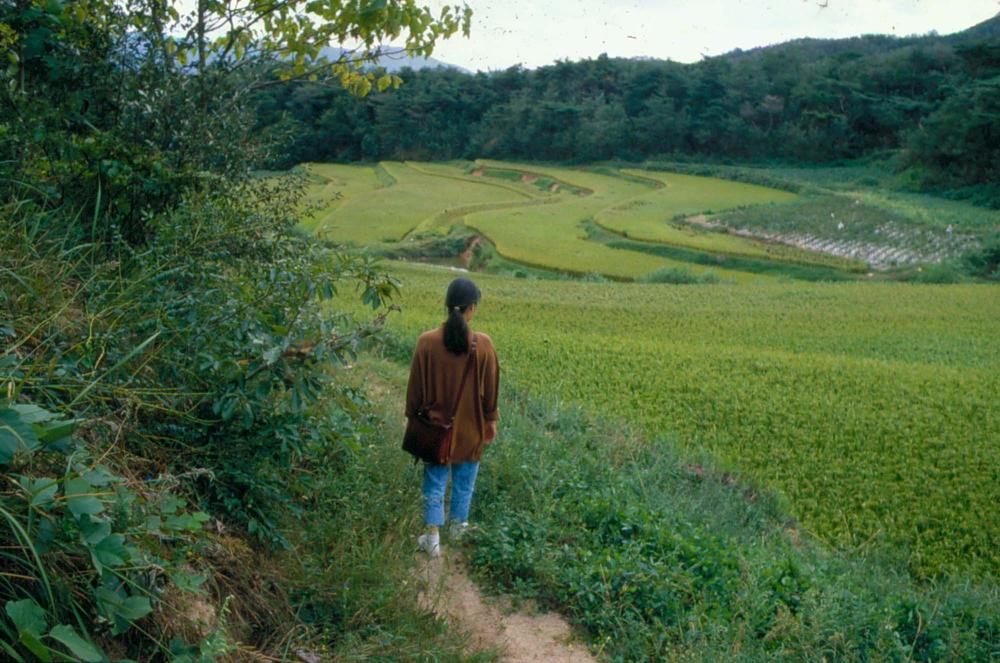 원화랑 전시 및 정찬승 외 지인과 함께 촬영한 슬라이드 필름