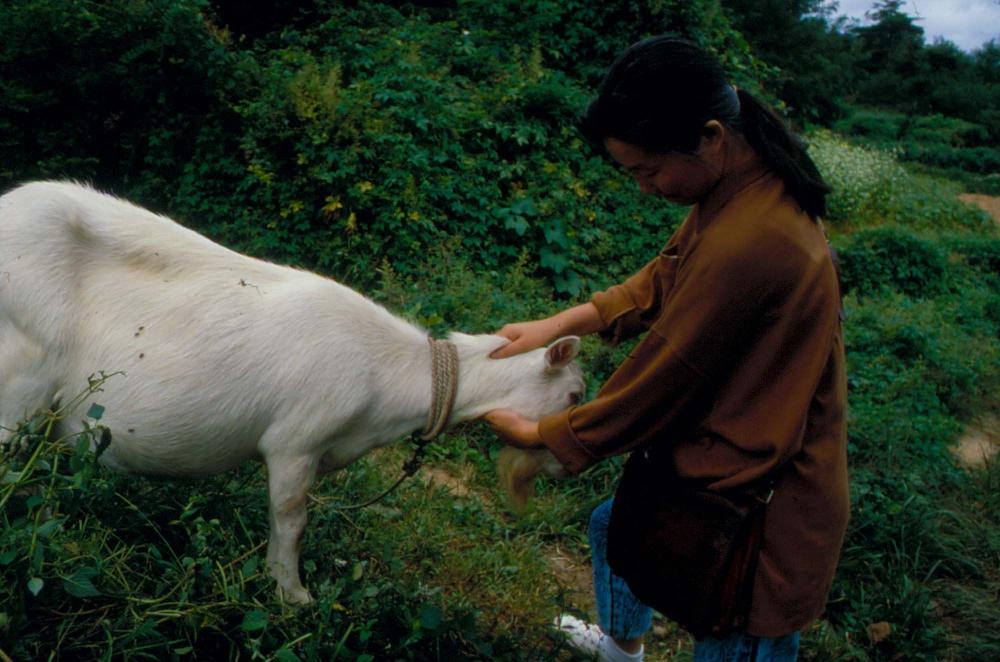원화랑 전시 및 정찬승 외 지인과 함께 촬영한 슬라이드 필름