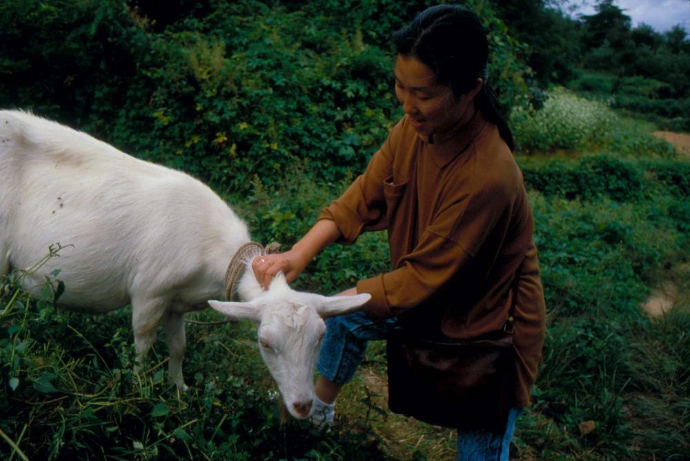 원화랑 전시 및 정찬승 외 지인과 함께 촬영한 슬라이드 필름