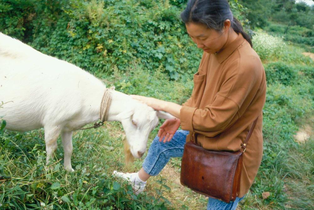 원화랑 전시 및 정찬승 외 지인과 함께 촬영한 슬라이드 필름
