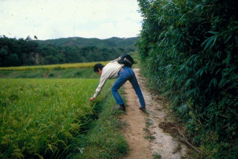 원화랑 전시 및 정찬승 외 지인과 함께 촬영한 슬라이드 필름
