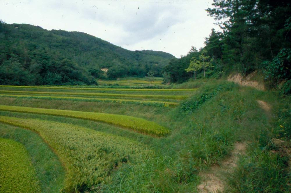 원화랑 전시 및 정찬승 외 지인과 함께 촬영한 슬라이드 필름