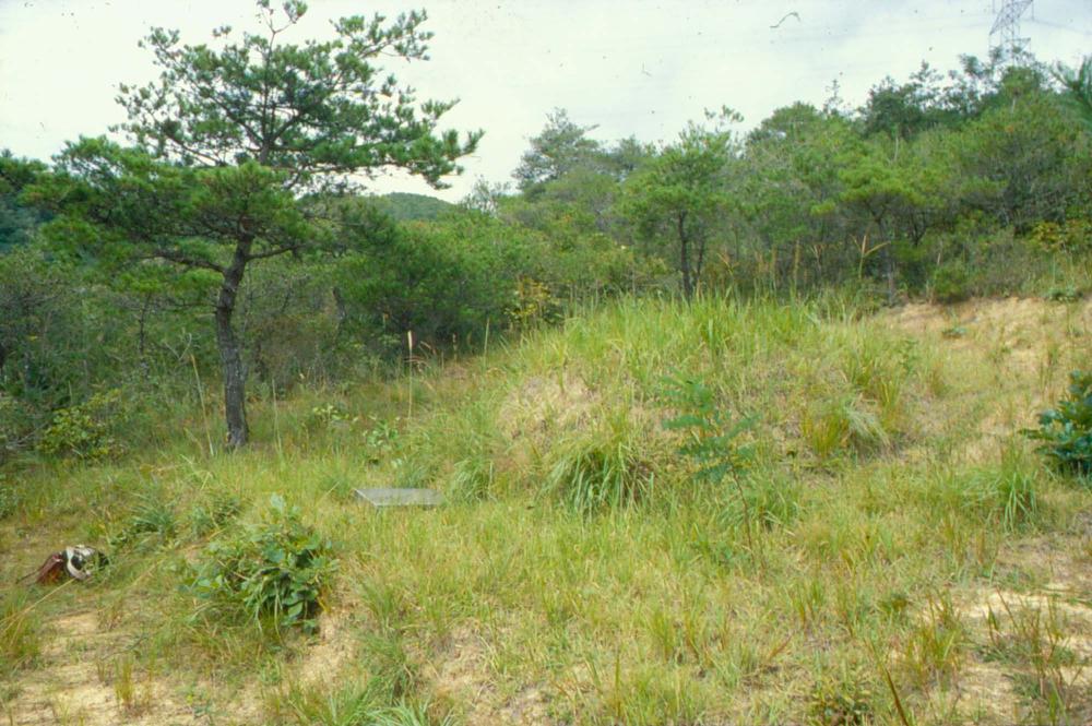 원화랑 전시 및 정찬승 외 지인과 함께 촬영한 슬라이드 필름