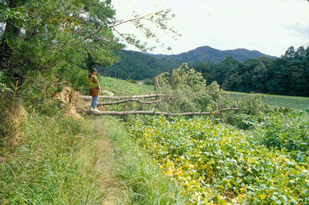 원화랑 전시 및 정찬승 외 지인과 함께 촬영한 슬라이드 필름