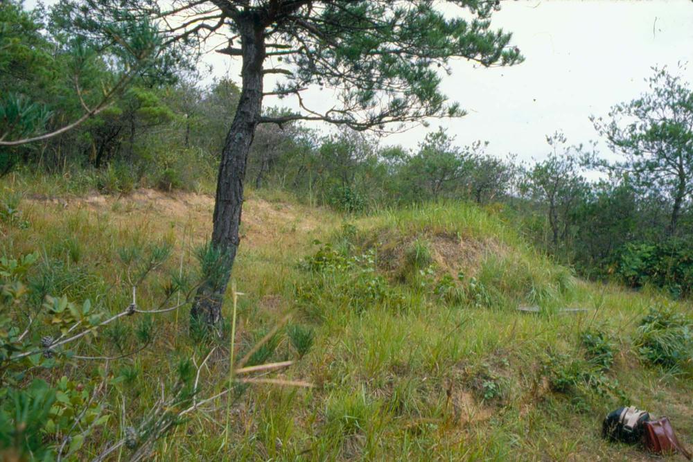 원화랑 전시 및 정찬승 외 지인과 함께 촬영한 슬라이드 필름