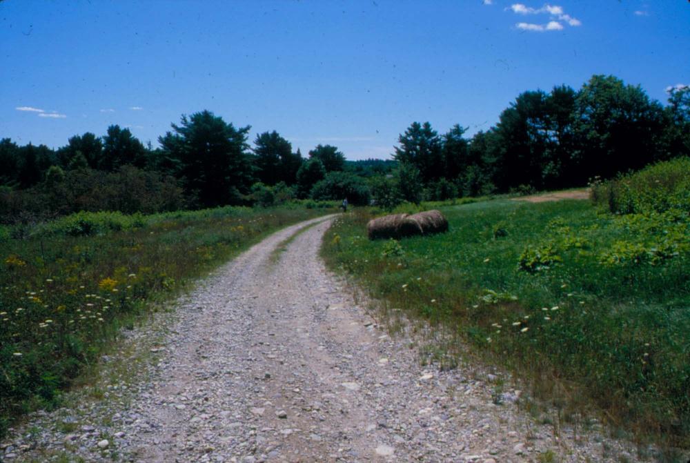 원화랑 전시 및 정찬승 외 지인과 함께 촬영한 슬라이드 필름