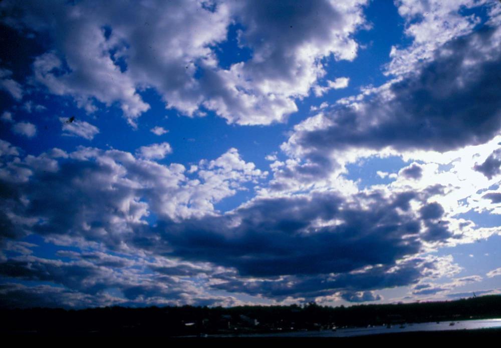 원화랑 전시 및 정찬승 외 지인과 함께 촬영한 슬라이드 필름