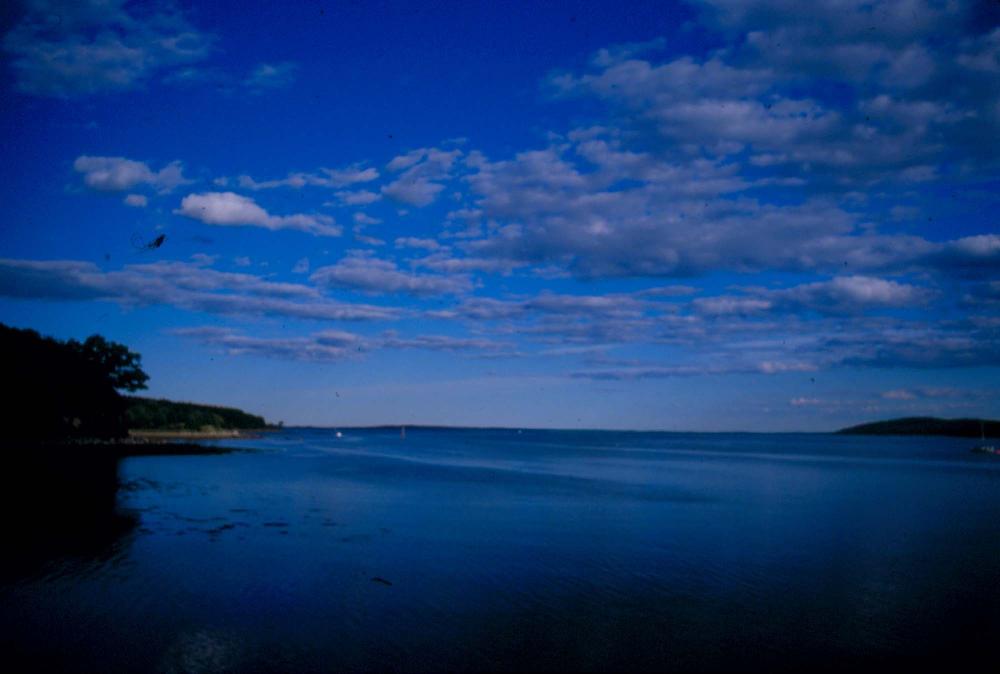 원화랑 전시 및 정찬승 외 지인과 함께 촬영한 슬라이드 필름