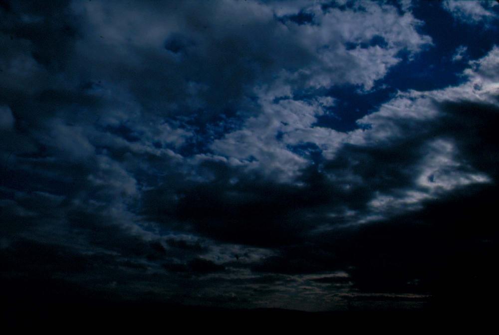 원화랑 전시 및 정찬승 외 지인과 함께 촬영한 슬라이드 필름